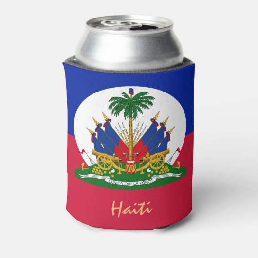 Haïtiaanse vlag en Haïti partij, barbecue/sport Blikjeskoeler (Blikje Achterkant)