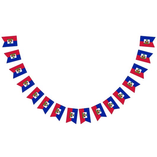 Haïtiaanse vlag en Haïtiaanse partijspandoeken/bru Vlaggetjes (Alle)