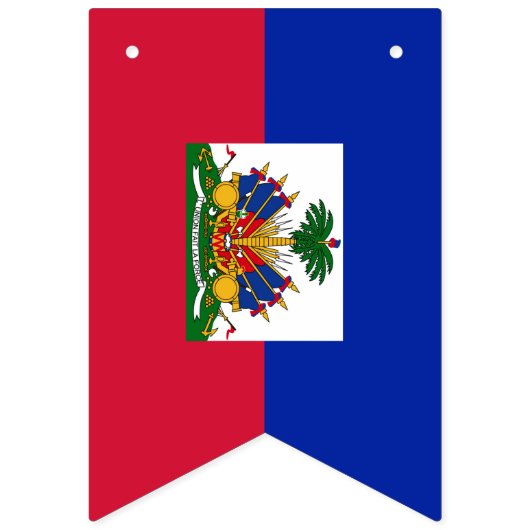 Haïtiaanse vlag en Haïtiaanse partijspandoeken/bru Vlaggetjes (Tweede vlag)
