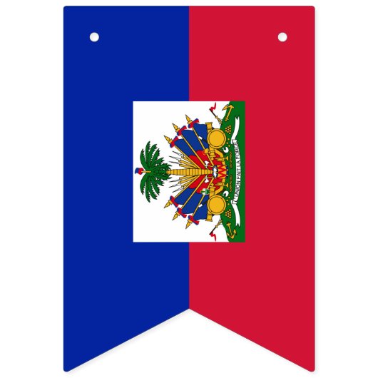 Haïtiaanse vlag en partij Haïtiaanse banners/bruil Vlaggetjes (Tweede vlag)
