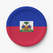 Haïtiaanse vlag papieren bordje (Voorkant)