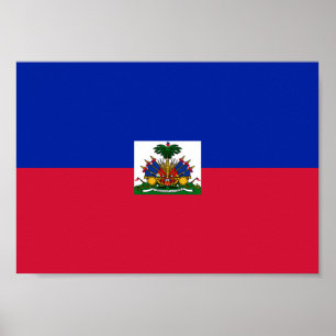 Haïtiaanse vlag poster
