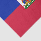 Haïtiaanse vlag tissuepapier (Detail)