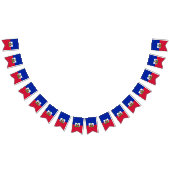 Haïtiaanse vlag vlaggetjes (Alle)