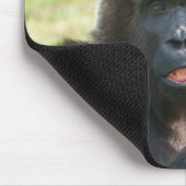 Hakuna Matata, de gorilla Muismat (Hoek)