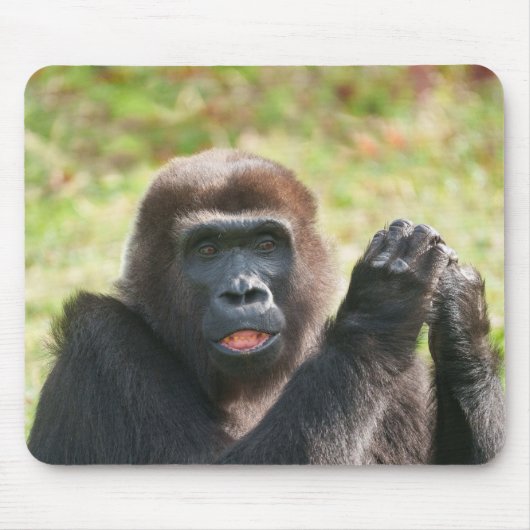 Hakuna Matata, de gorilla Muismat (Voorkant)