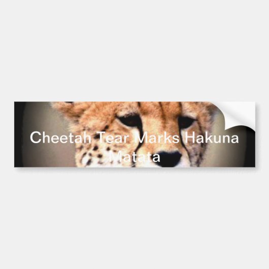 Hakuna Matata Feline cadeauproduct aanpassen Bumpersticker (Voorkant)
