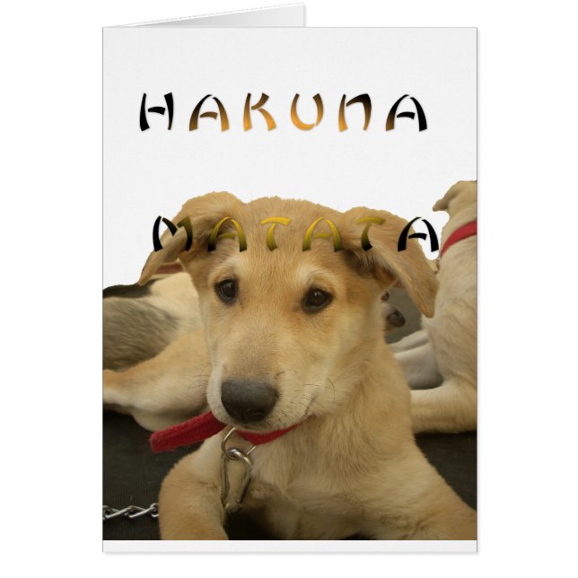 Hakuna Matata Ik weet wat je denkt. (Voorkant)