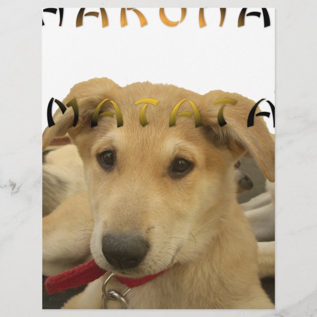 Hakuna Matata Ik weet wat je denkt. (Voorkant)