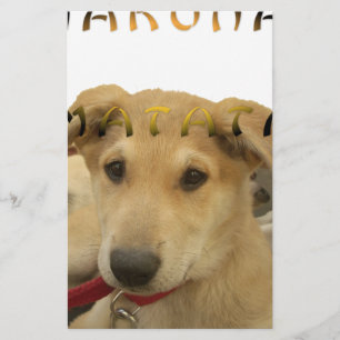 Hakuna Matata Ik weet wat je denkt. Briefpapier