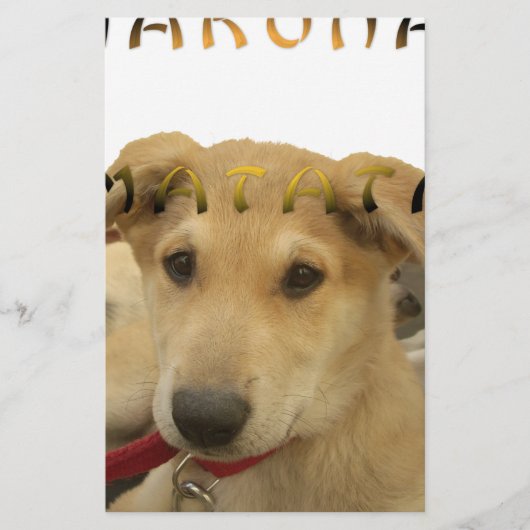 Hakuna Matata Ik weet wat je denkt. Briefpapier (Voorkant)