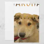 Hakuna Matata Ik weet wat je denkt. Briefpapier (Voorkant / Achterkant)