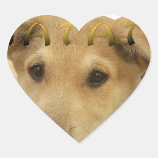 Hakuna Matata Ik weet wat je denkt. Hart Sticker (Voorkant)