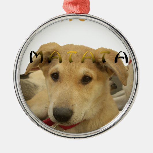 Hakuna Matata Ik weet wat je denkt. Metalen Ornament (Voorkant)