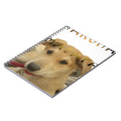 Hakuna Matata Ik weet wat je denkt. Notitieboek (Linkerzijde)