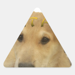 Hakuna Matata Ik weet wat je denkt. Sticker