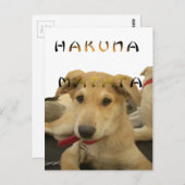 Hakuna Matata Ik weet wat je denkt van afbeelding Briefkaart (Voorkant / Achterkant)