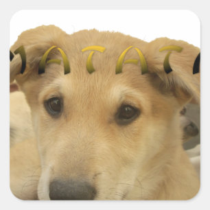 Hakuna Matata Ik weet wat je denkt. Vierkante Sticker