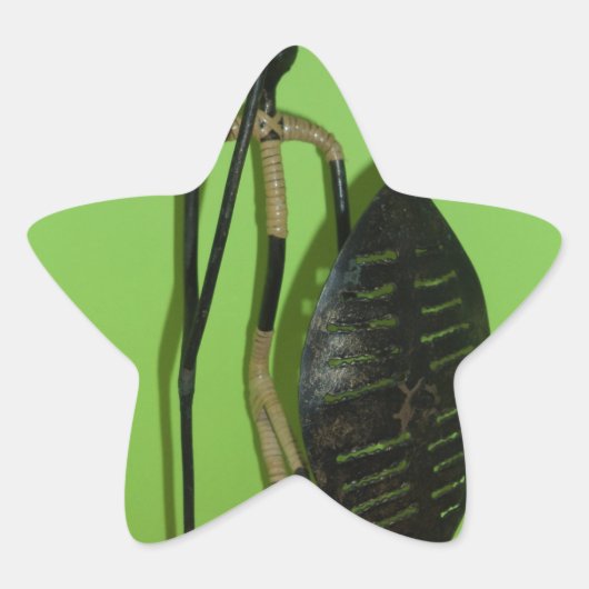 Hakuna Matata Kenya Maasai.JPG Ster Sticker (Voorkant)