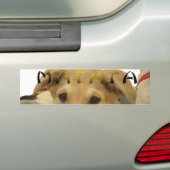 "Hakuna Matata Pup" - Zorgenvrije Puppy Liefde Bumpersticker (Op auto)