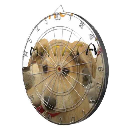 "Hakuna Matata Pup" - Zorgenvrije Puppy Liefde Dartbord (Voorkant Rechts)