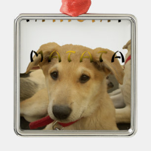"Hakuna Matata Pup" - Zorgenvrije Puppy Liefde Metalen Ornament