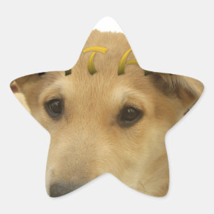 "Hakuna Matata Pup" - Zorgenvrije Puppy Liefde Ster Sticker