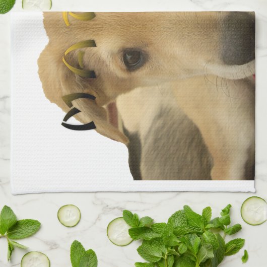 "Hakuna Matata Pup" - Zorgenvrije Puppy Liefde Theedoek (Gevouwen)