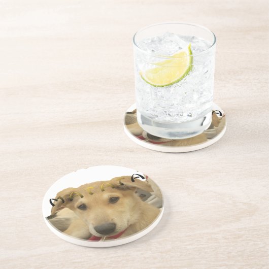 "Hakuna Matata Pup" - Zorgenvrije Puppy Liefde Zandsteen Onderzetter (Zijkant)