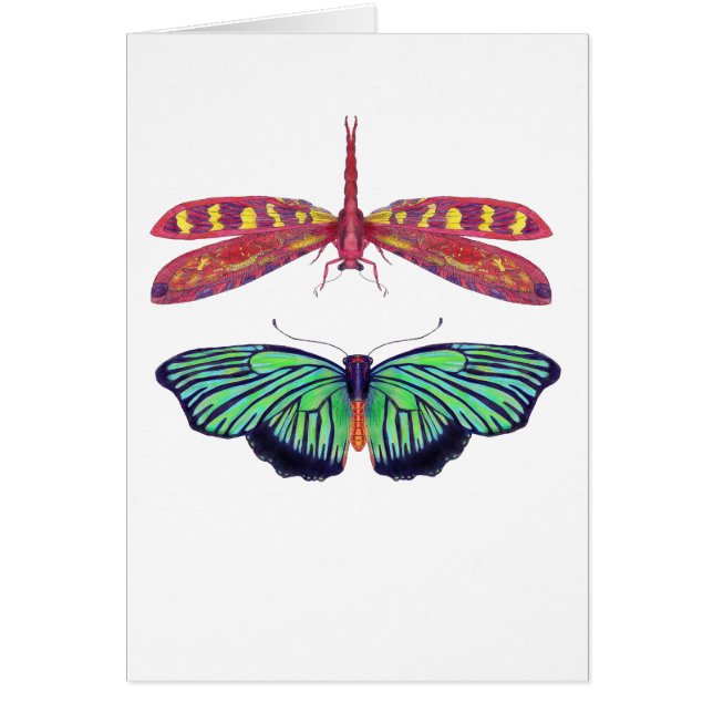 Hal en Red (Voorkant)