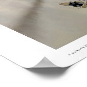 Halberstadt D.III Poster (Hoek)