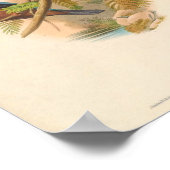 Halcyon Cularis Kingfisher  vogels Poster (Hoek)