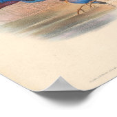 Halcyon Omnicolor Kingfisher  Aziatische vogels Poster (Hoek)