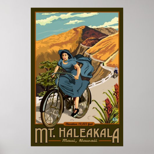 Haleakala Bicycle Rides Hawaii Poster (Voorkant)