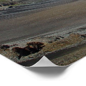 Haleakala Crater, Maui, Hawaii Poster (Hoek)