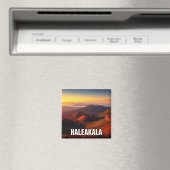 Haleakala Crater Maui Hawaii Reizen Magneet (Insitu (Vaatwasser))