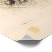 Haleakala, Hawaii Poster (Hoek)