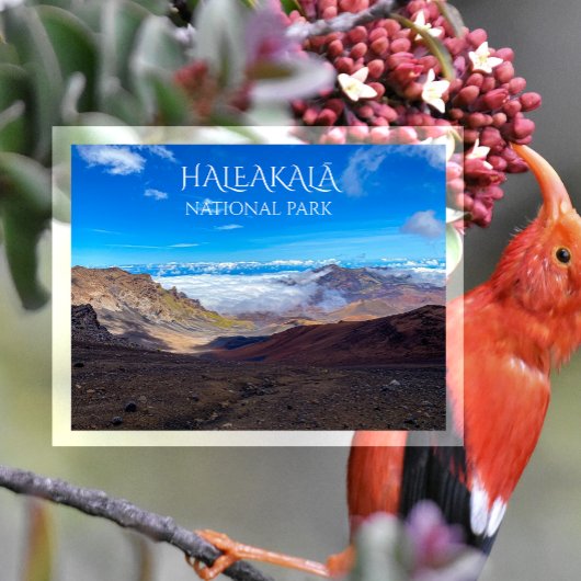 Haleakala-krater, top, Nationaal park Haleakala Briefkaart