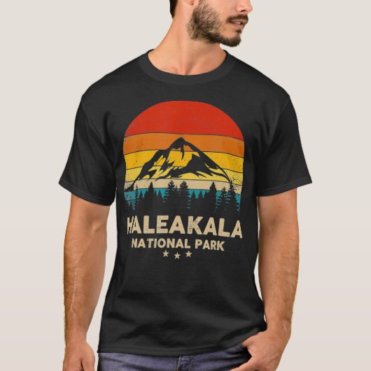 Haleakala - Nationaal Park Retro Souvenir T-shirt (Voorkant)