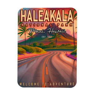 Haleakala National Park Maui Road Volcano Vintage Magneet