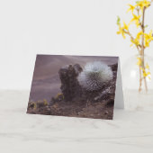 Haleakala Silversword Kaart (Gele Bloem)