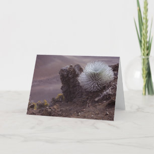 Haleakala Silversword Kaart
