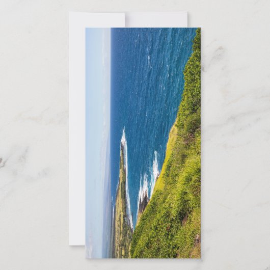 haleokane uitkijk boven honuapo bay (Voorkant)