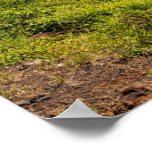 haleokane uitkijk boven honuapo bay poster (Hoek)