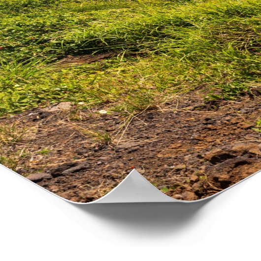 haleokane uitkijk boven honuapo bay poster (Hoek)