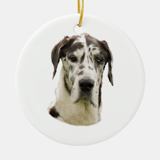 Halequin Great Dane foto Keramisch Ornament (Voorkant)