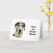 Halequin Groot Deens portretfoto Kaart (Gele Bloem)