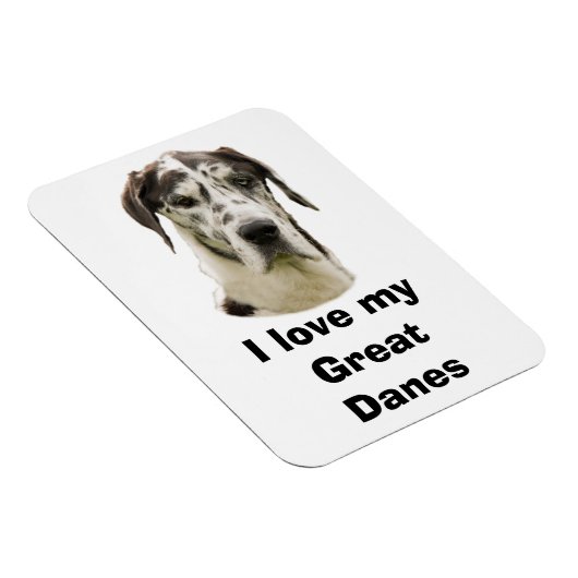 Halequin Grote Deen huisdier foto Magneet (Rechterzijde)