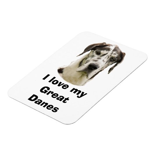 Halequin Grote Deen huisdier foto Magneet (Linkerzijde)