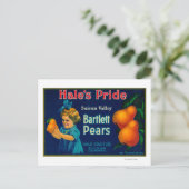 Hale's Pride Pear Crate LabelSuisun, CA Briefkaart (Staand voorkant)